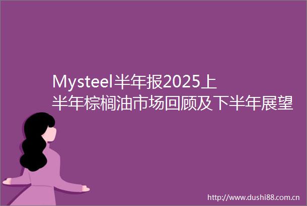 Mysteel半年报2025上半年棕榈油市场回顾及下半年展望