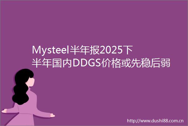 Mysteel半年报2025下半年国内DDGS价格或先稳后弱
