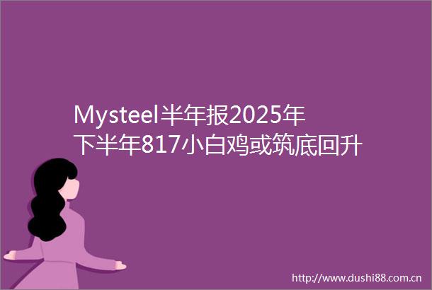 Mysteel半年报2025年下半年817小白鸡或筑底回升
