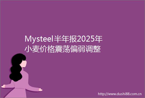 Mysteel半年报2025年小麦价格震荡偏弱调整