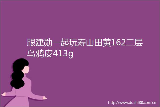 跟建勋一起玩寿山田黄162二层乌鸦皮413g
