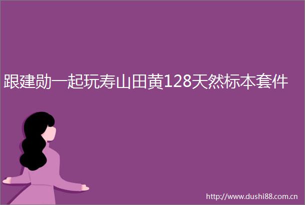 跟建勋一起玩寿山田黄128天然标本套件
