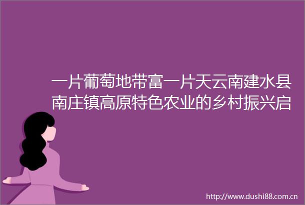 一片葡萄地带富一片天云南建水县南庄镇高原特色农业的乡村振兴启示