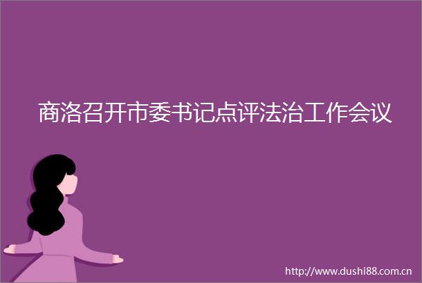 商洛召开市委书记点评法治工作会议