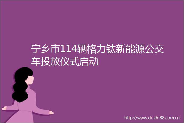 宁乡市114辆格力钛新能源公交车投放仪式启动