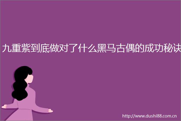 九重紫到底做对了什么黑马古偶的成功秘诀