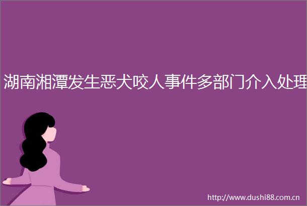 湖南湘潭发生恶犬咬人多部门介入处理