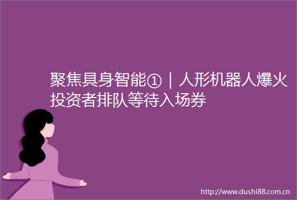 聚焦具身智能①｜人形机器人爆火投资者排队等待入场券