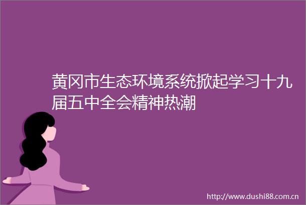 黄冈市生态环境系统掀起学习十九届五中全会精神热潮