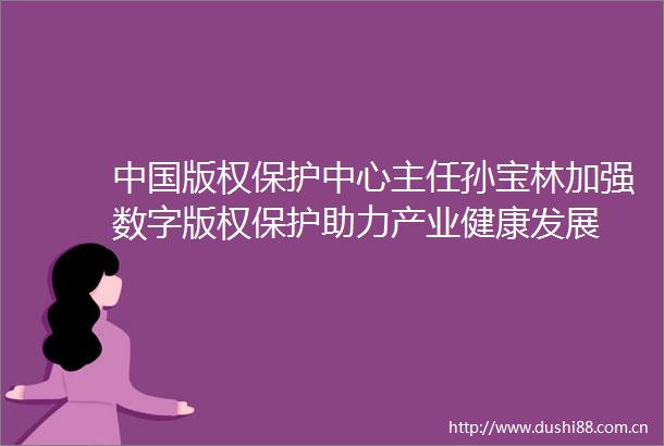 版权保护中心主任孙宝林加强数字版权保护助力产业健康发展