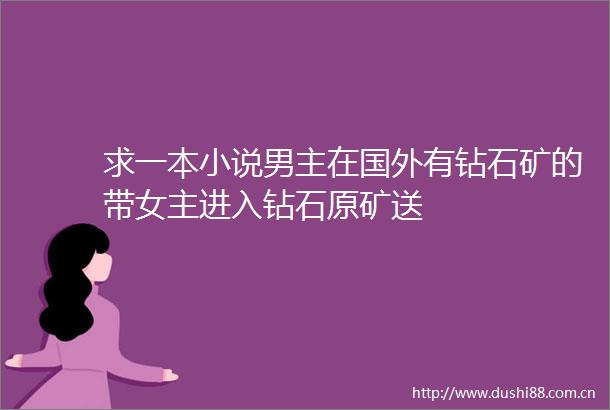 求一本小说男主在国外有钻石矿的带女主进入钻石原矿送