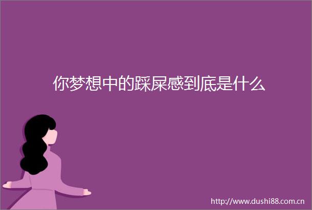 你梦想中的踩屎感到底是什么
