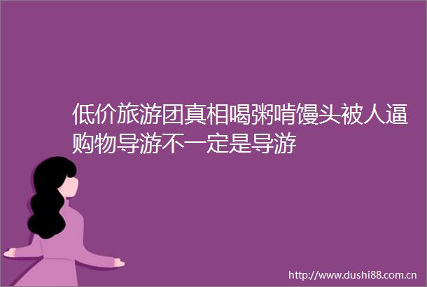 低价旅游团真相喝粥啃馒头被人逼购物导游不一定是导游