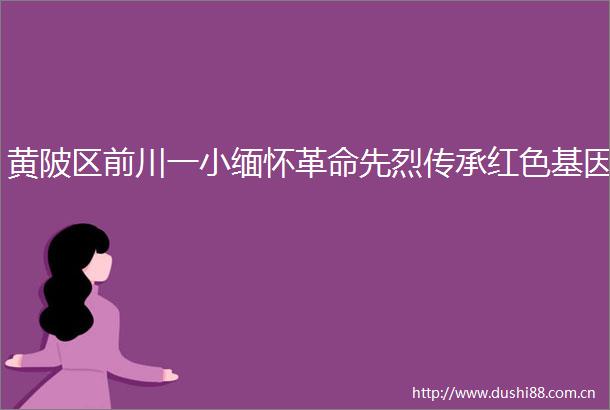黄陂区前川一小缅怀革命先烈传承红色基因