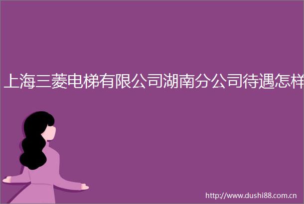 上海三菱电梯有限公司湖南分公司待遇怎样