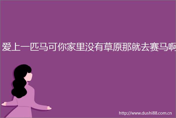 爱上一匹马可你家里没有草原那就去赛马啊