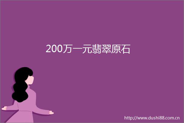 200万一元翡翠原石