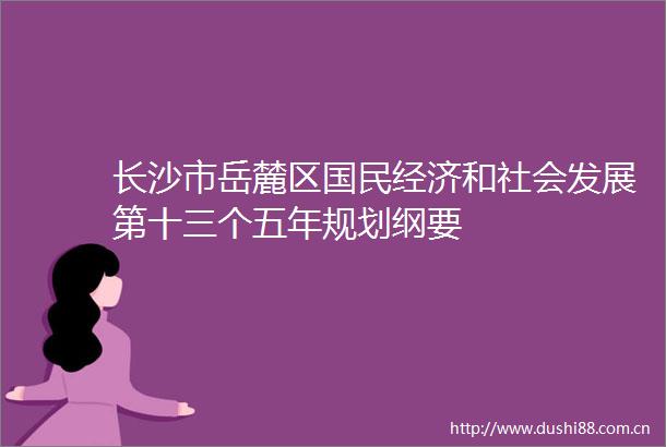 长沙市岳麓区国民经济和社会发展第十三个五年规划纲要
