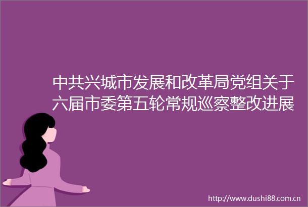 兴城市发展和改革局党组关于六届市委第五轮常规巡察整改进展情况的通报