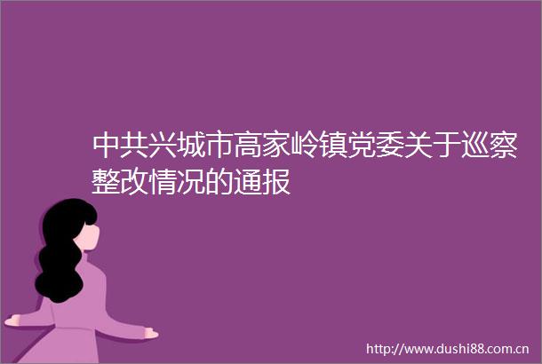 兴城市高家岭镇党委关于巡察整改情况的通报