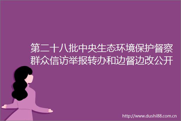 第二十八批中央生态环境保护督察群众转办和边督边改公开情况