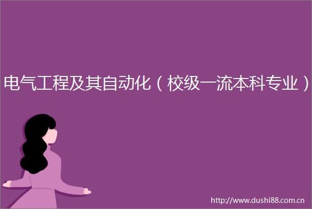 电气工程及其自动化（校级一流本科专业）