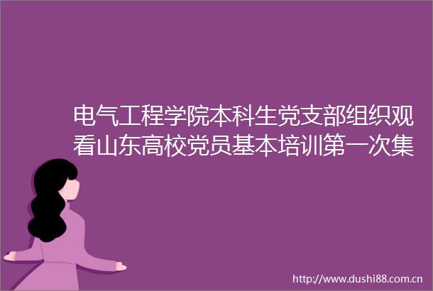 电气工程学院本科生党支部组织观看山东高校党员基本培训第一次集中大课