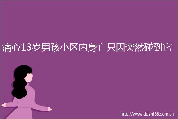 痛心13岁男孩小区内身亡只因突然碰到它