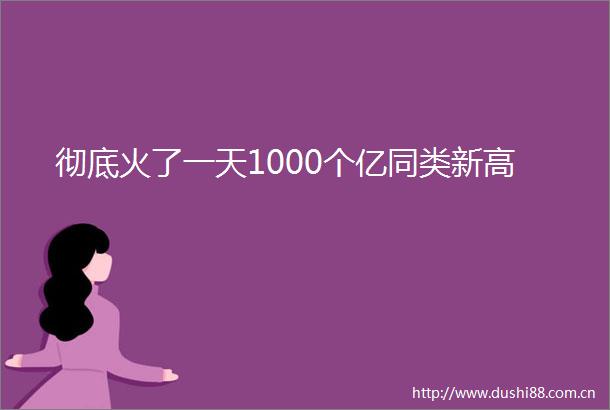 彻底火了一天1000个亿同类新高