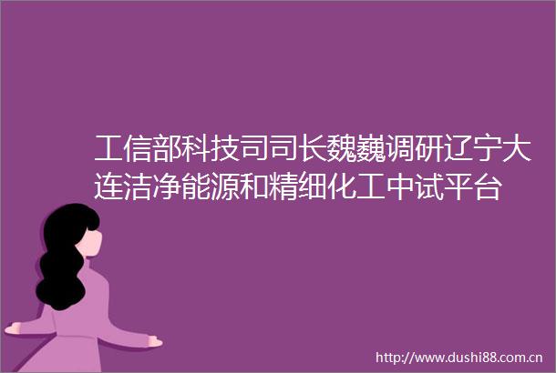 工信部科技司司长魏巍调研辽宁大连洁净能源和精细化工中试平台