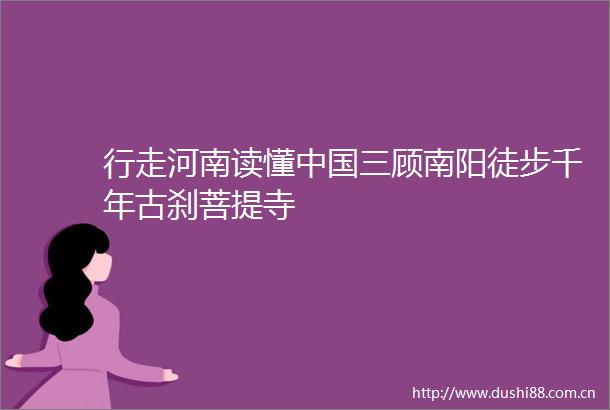 行走河南读懂三顾南阳徒步千年古刹菩提寺