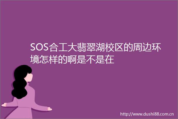 SOS合工大翡翠湖校区的周边环境怎样的啊是不是在
