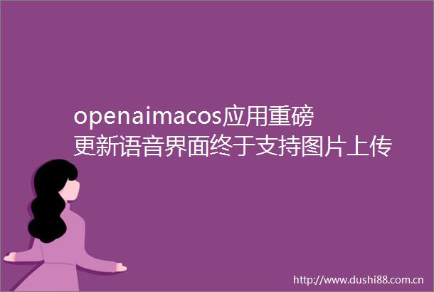 openaimacos应用重磅更新语音界面终于支持图片上传