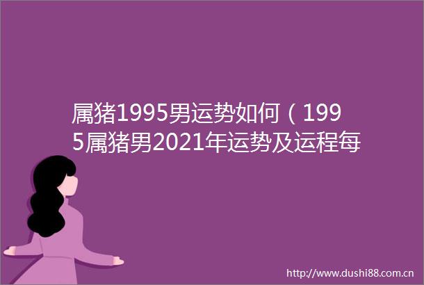 属猪1995男运势如何（1995属猪男2021年运势及运程每月运程）