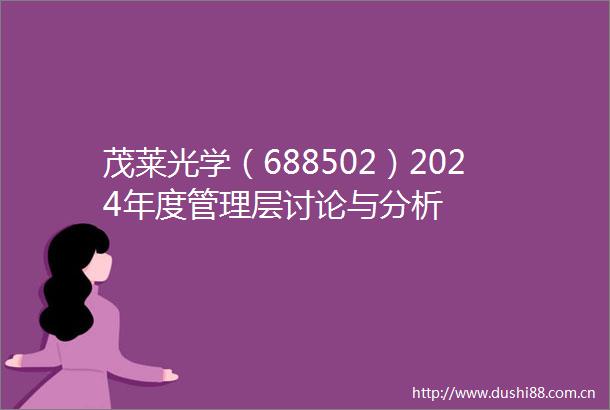 茂莱光学（688502）2024年度管理层讨论与分析