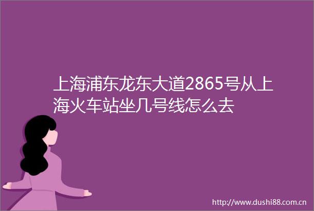 上海浦东龙东大道2865号从上海火车站坐几号线怎么去