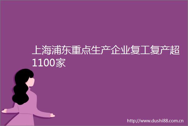 上海浦东重点生产企业复工复产超1100家