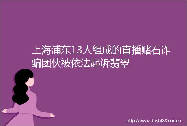 上海浦东13人组成的直播赌石诈团伙被依法起诉翡翠