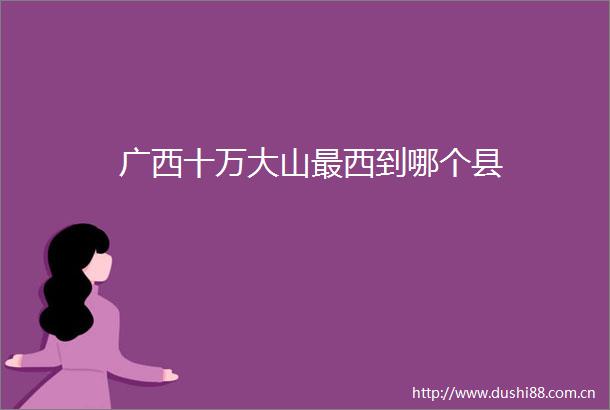 广西十万大山最西到哪个县