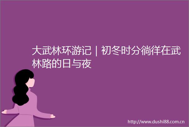 大武林环游记｜初冬时分徜徉在武林路的日与夜