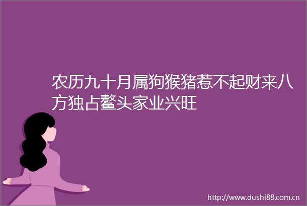 农历九十月属狗猴猪惹不起财来八方独占鳌头家业兴旺