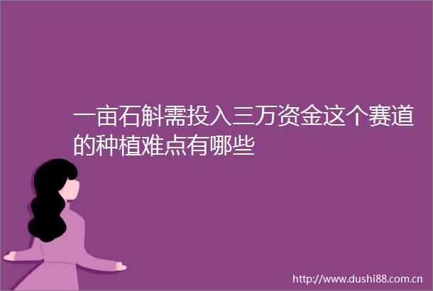 一亩石斛需投入三万资金这个赛道的种植难点有哪些