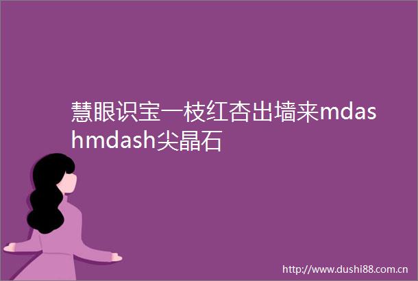 慧眼识宝一枝红杏出墙来mdashmdash尖晶石