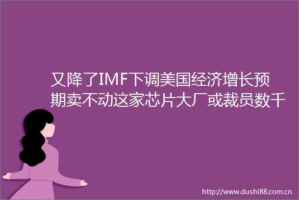 又降了IMF下调美国经济增长预期卖不动这家芯片大厂或裁员数千人