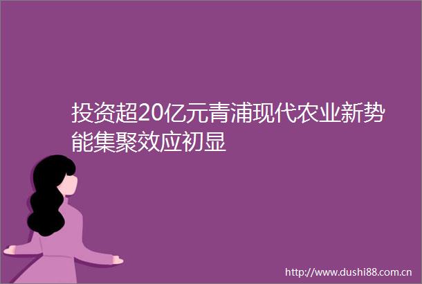 投资超20亿元青浦现代农业新势能集聚效应初显