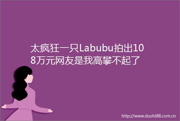 太疯狂一只Labubu拍出108万元网友是我高攀不起了