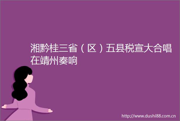 湘黔桂三省（区）五县税宣大合唱在靖州奏响