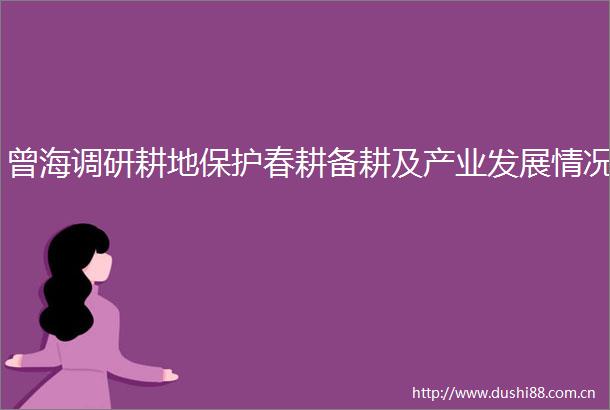 曾海调研耕地保护春耕备耕及产业发展情况