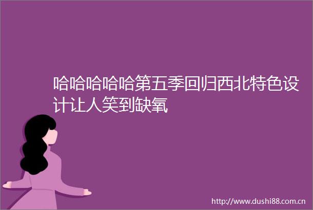 哈哈哈哈哈第五季回归西北特色设计让人笑到缺氧