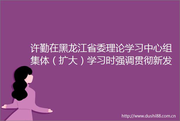 许勤在黑龙江省委理论学习中心组集体（扩大）学习时强调贯彻新发展理念构建新发展格局扎实推动龙江高质量振兴发展